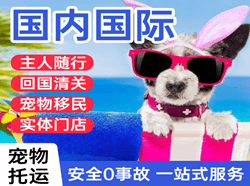 兴义万峰林空运国际宠物托运 【国